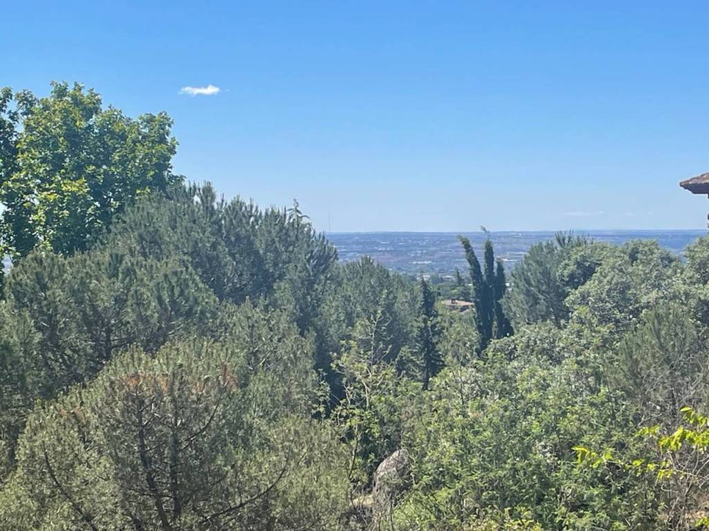 Vistas