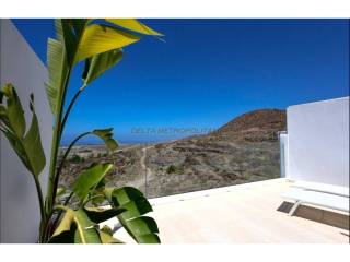 Vistas