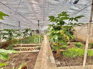 Jardín