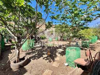 Jardín