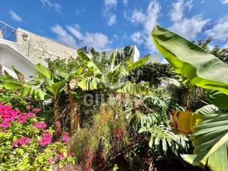 Jardín