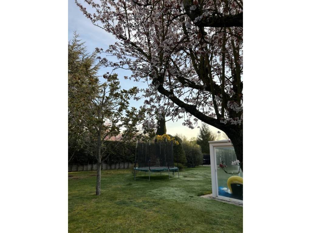 Jardín