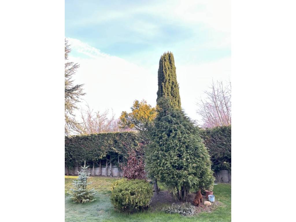 Jardín