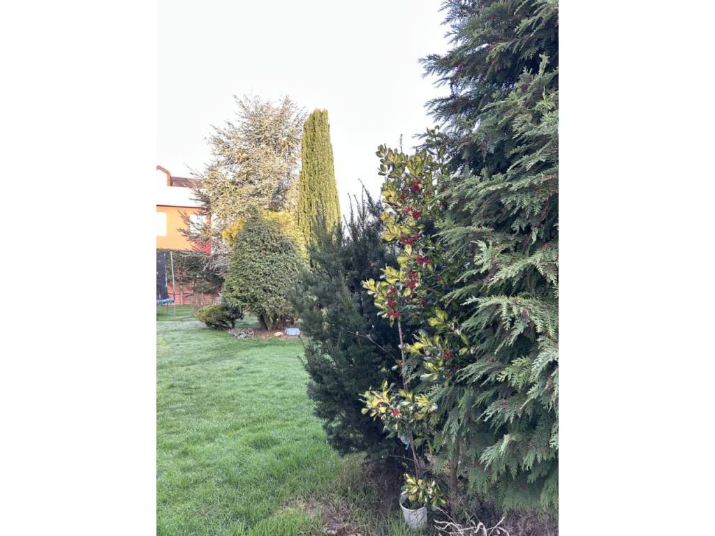 Jardín