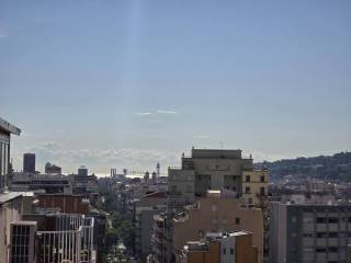 Vistas