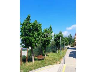 Entorno