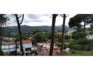 Vistas