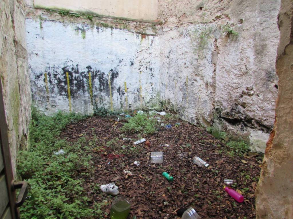 Jardín