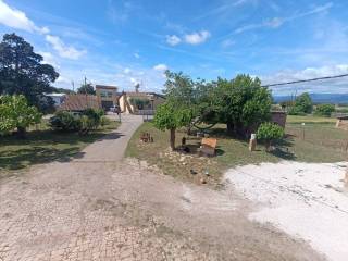 Jardín