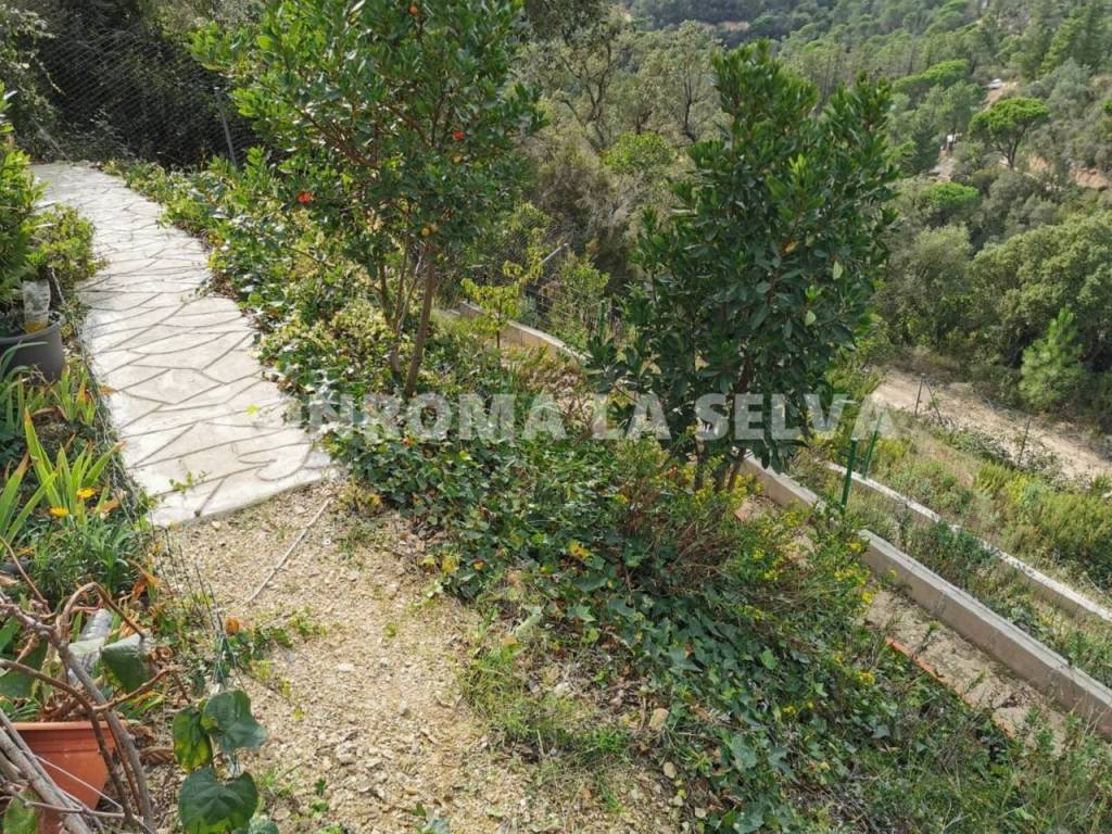 Jardín