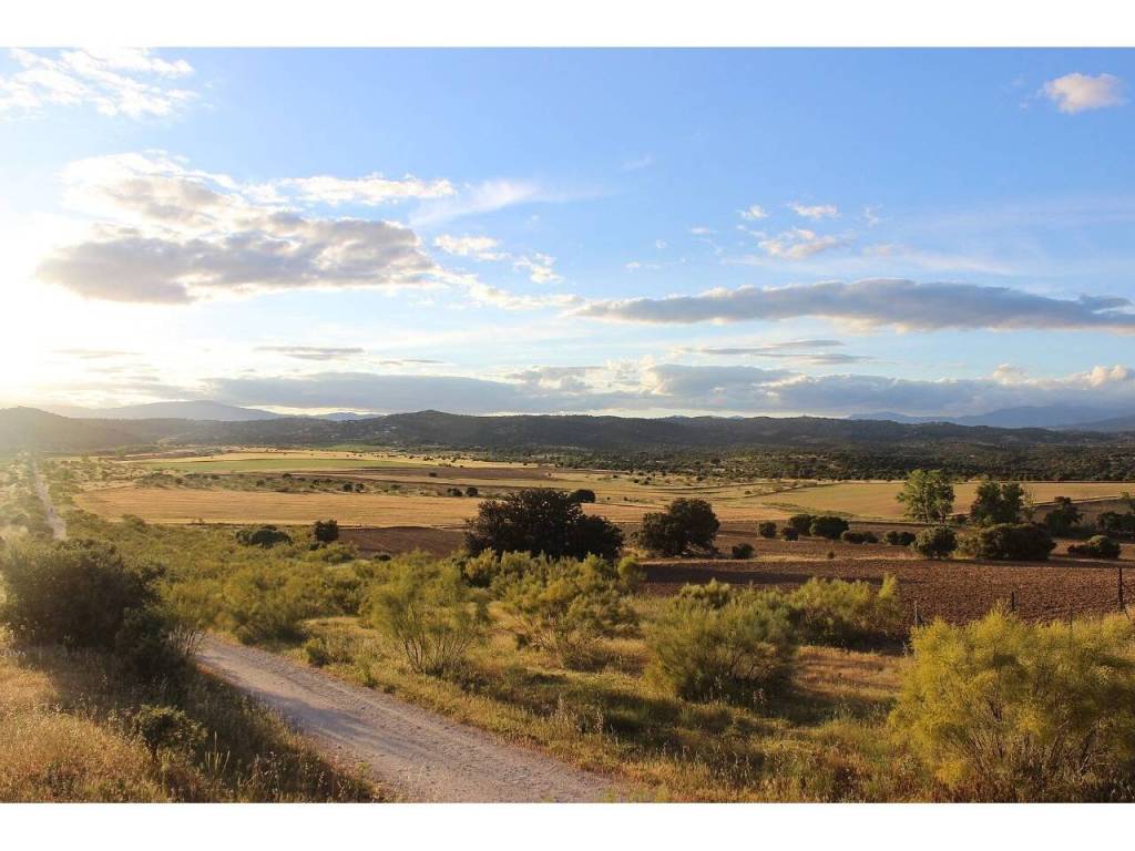 Vistas