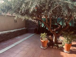 Jardín