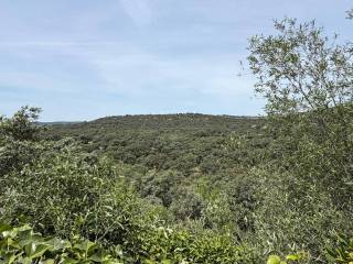 Vistas