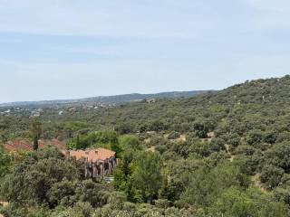Vistas