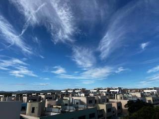 Vistas