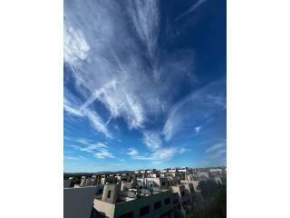 Vistas