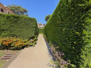 Jardín