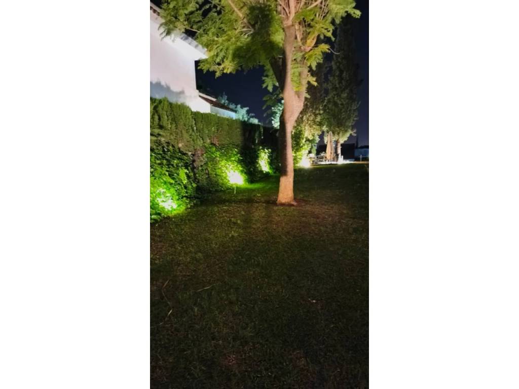 Jardín
