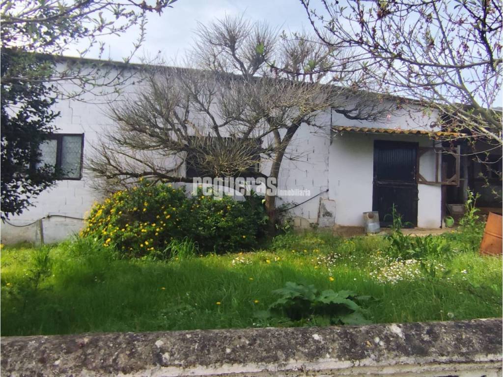 Jardín