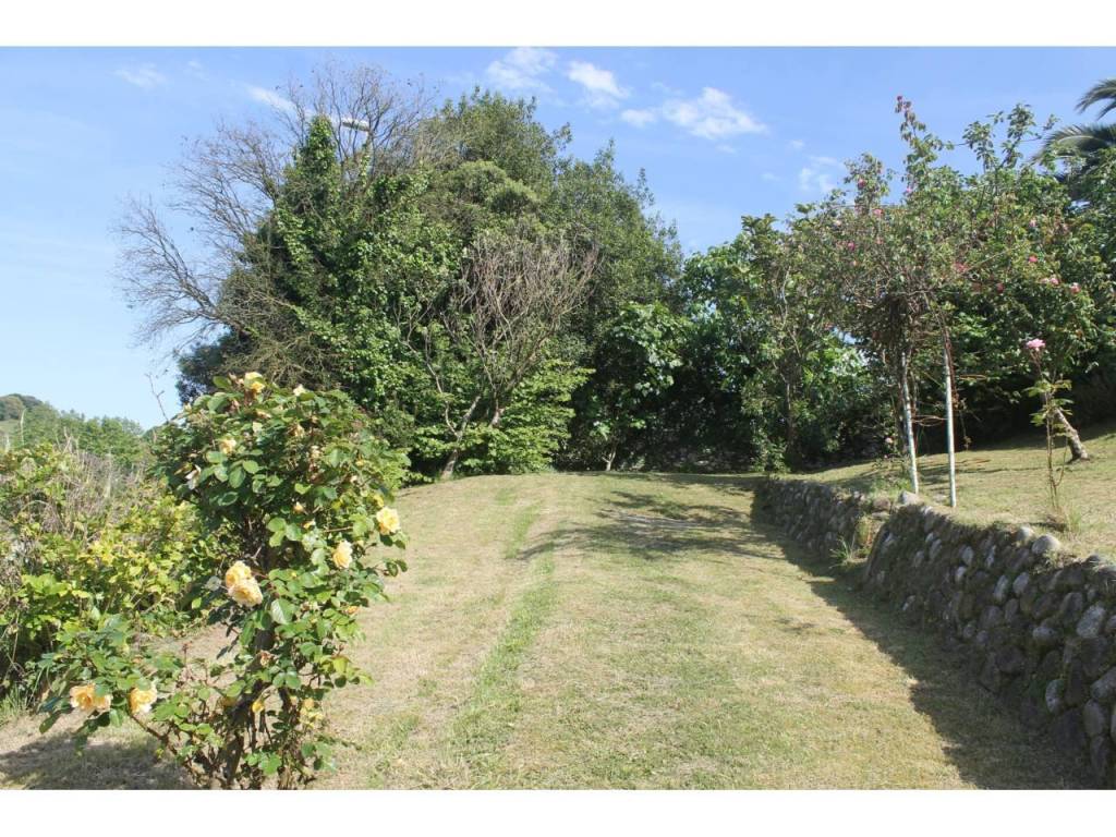 Jardín