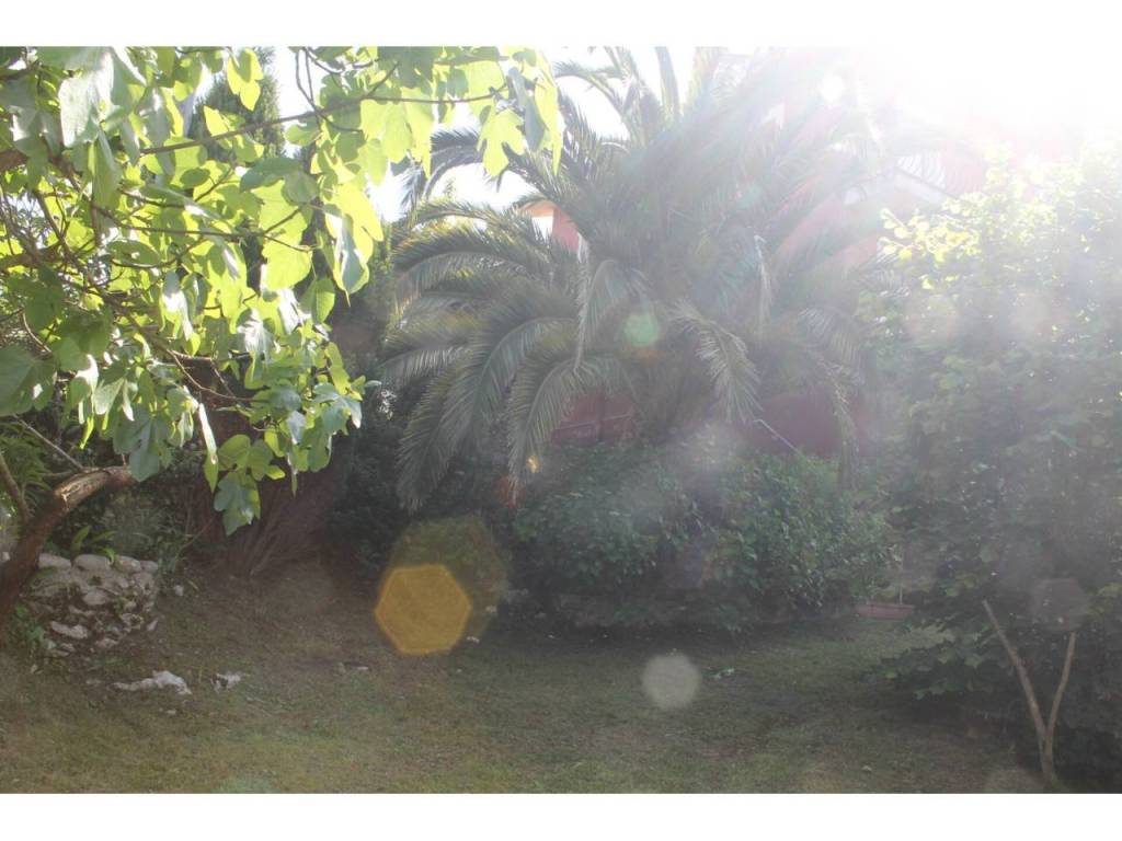 Jardín
