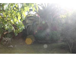 Jardín