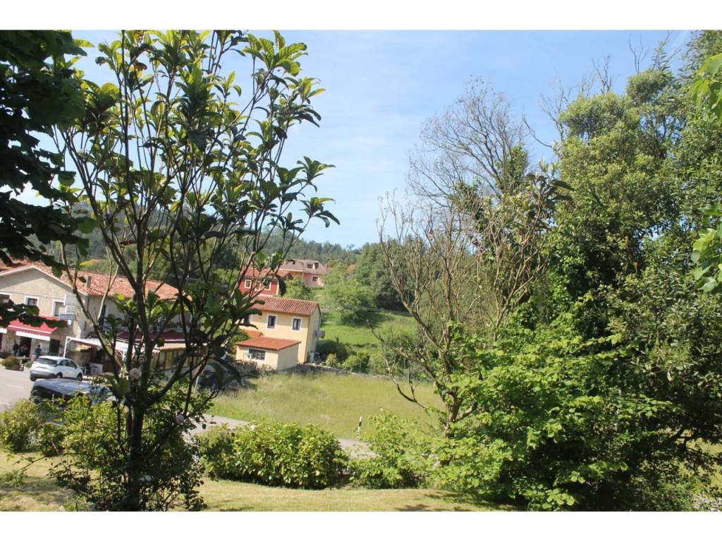 Jardín
