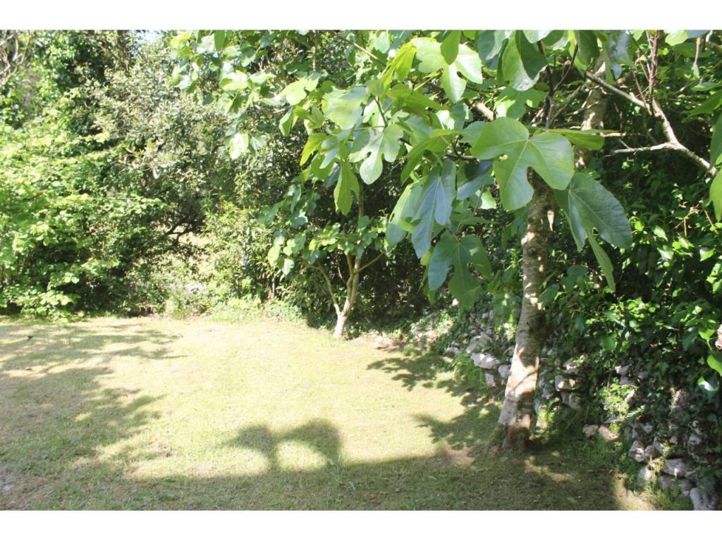 Jardín