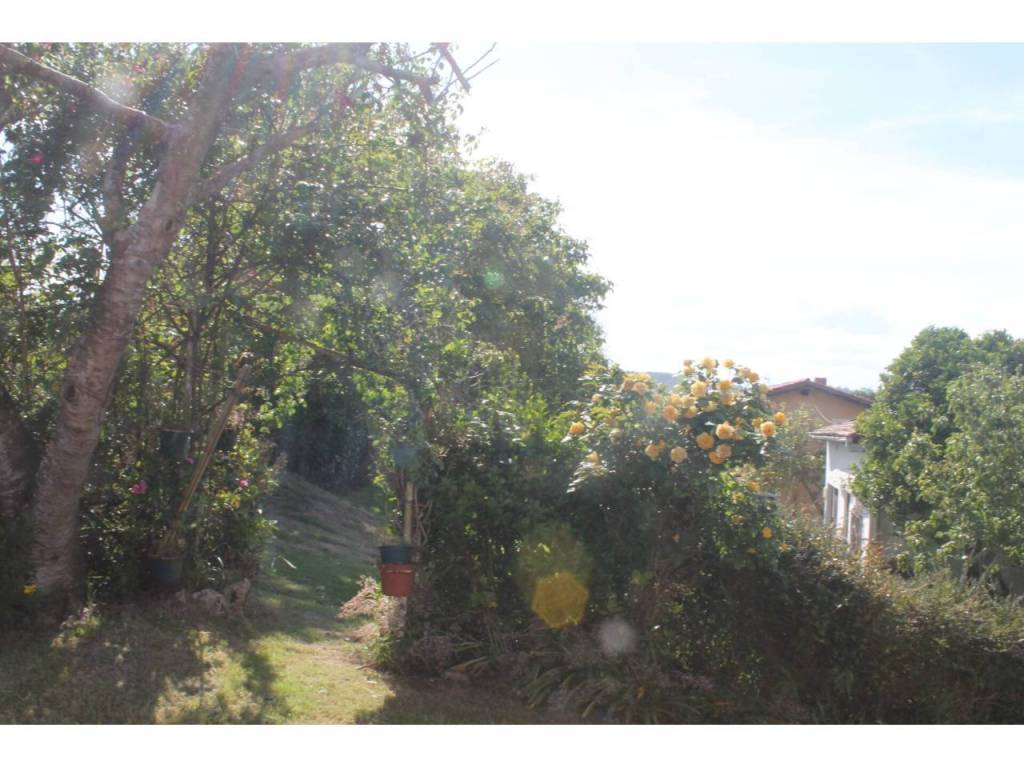 Jardín