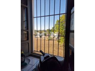 Vistas