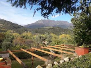 Vistas