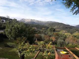 Vistas