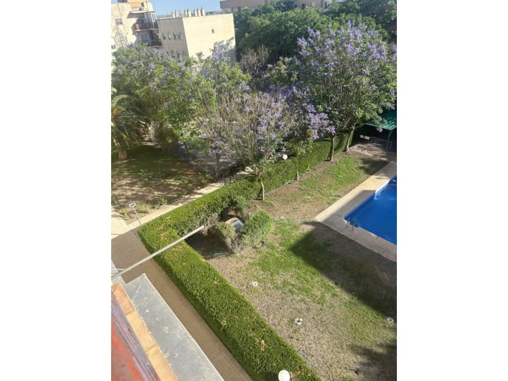 Jardín