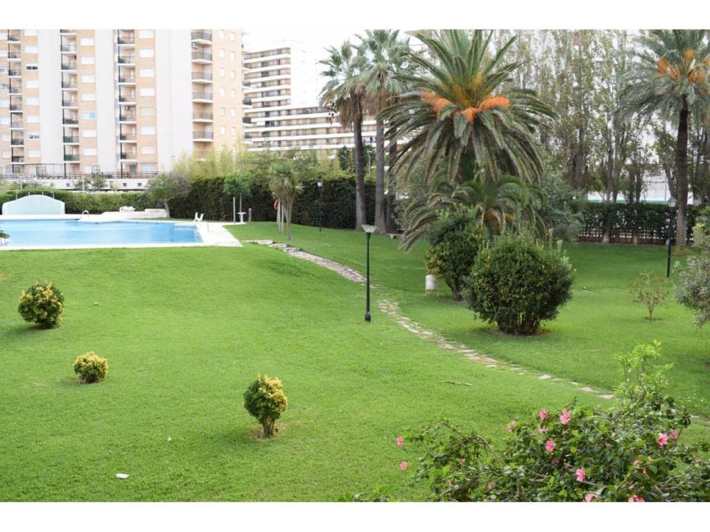 Jardín