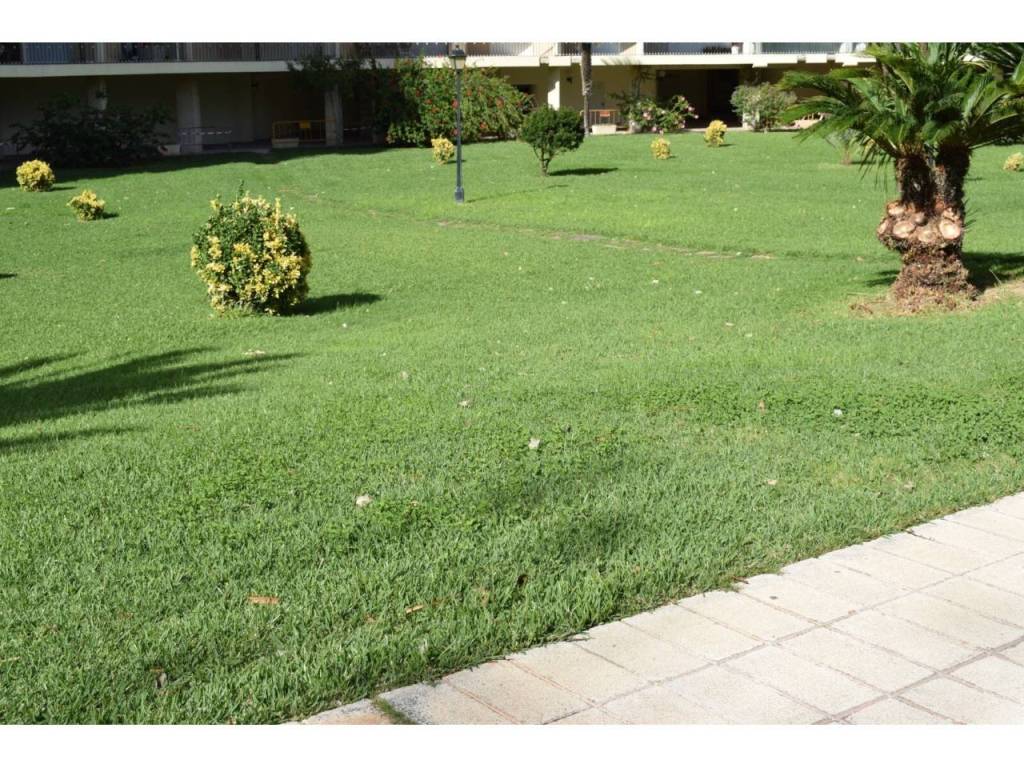 Jardín