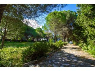 Jardín