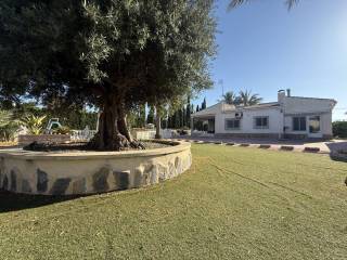Jardín