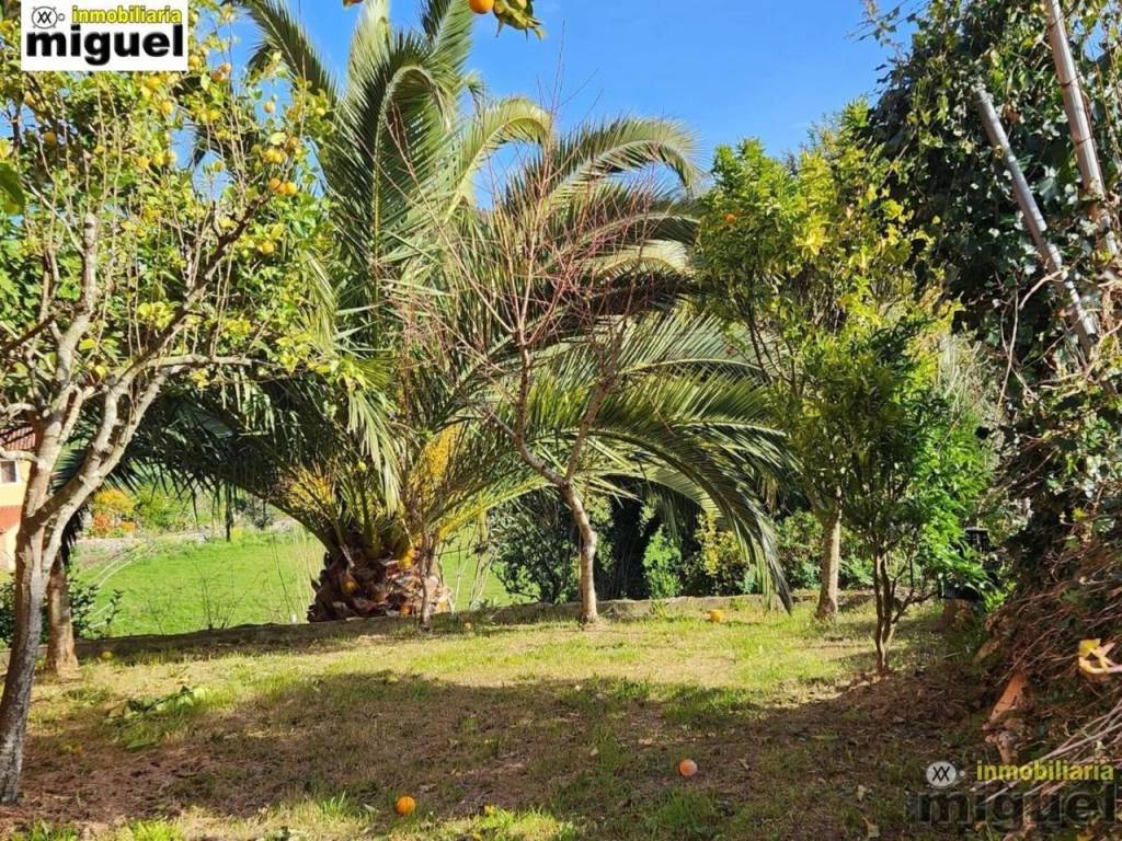 Jardín