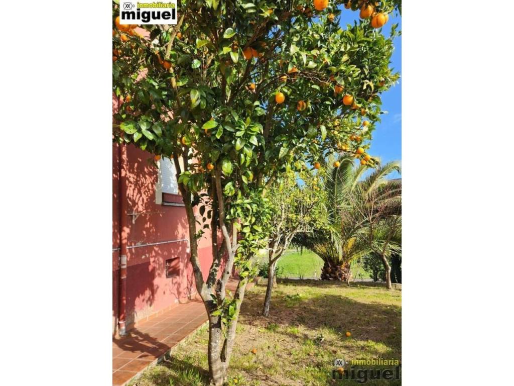 Jardín