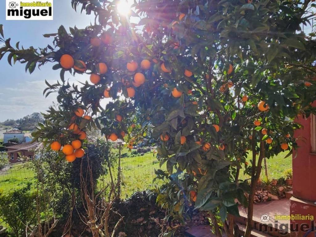 Jardín