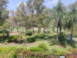 Jardín