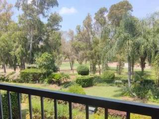 Vistas