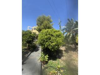 Jardín