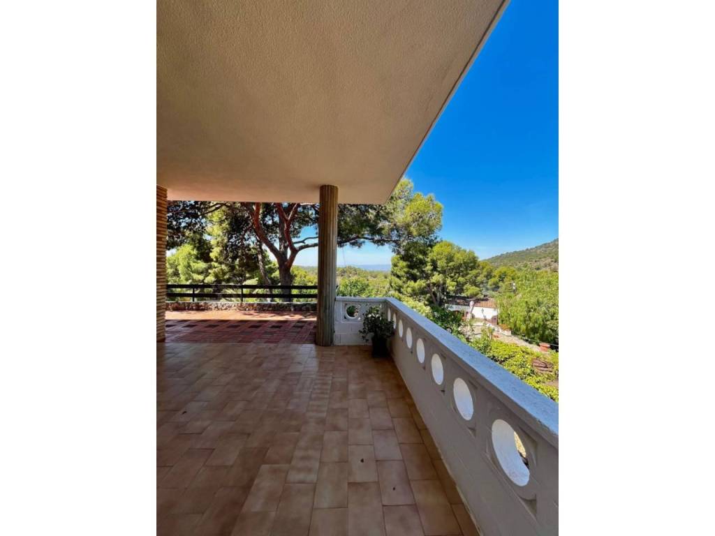 Terraza