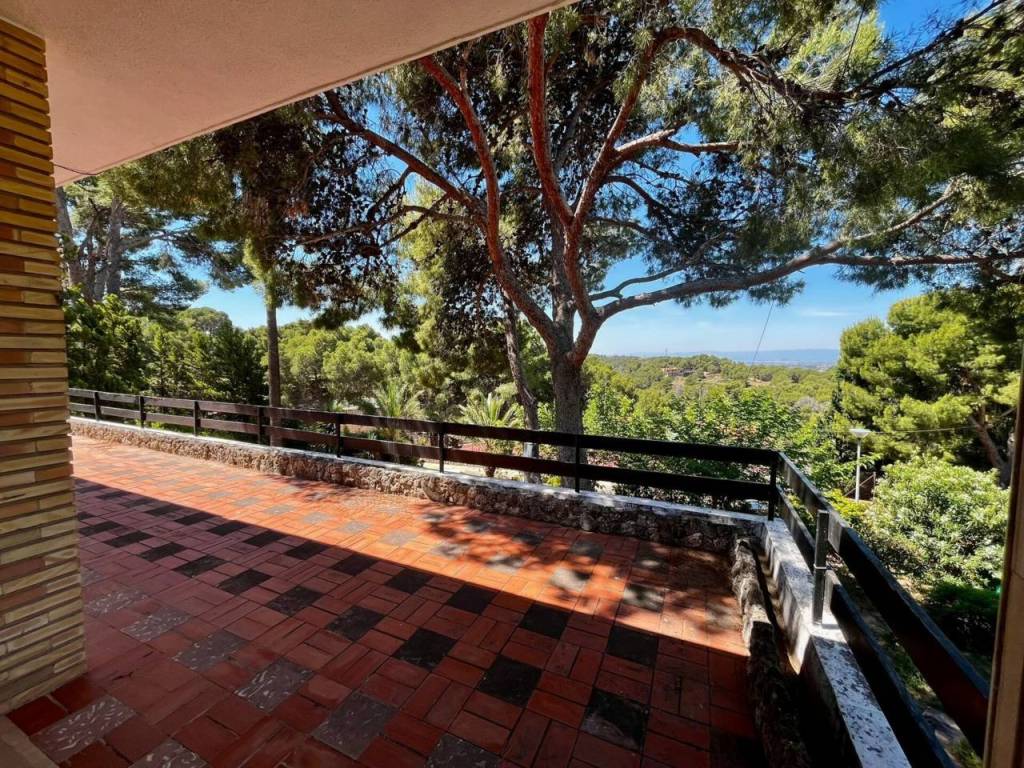Terraza