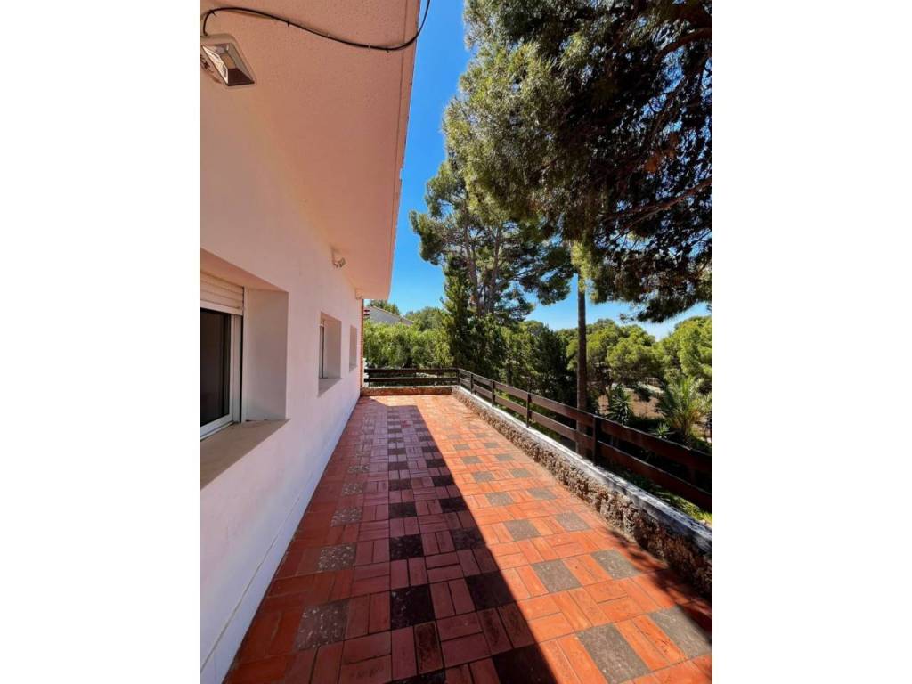 Terraza