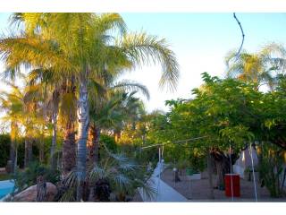 Jardín