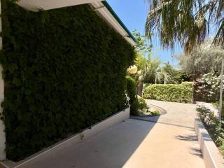 Jardín