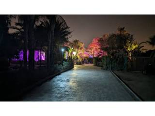 Jardín