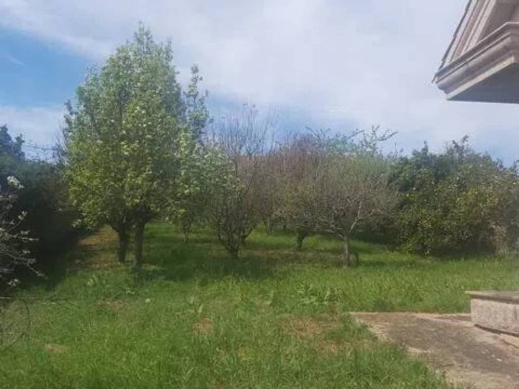 Jardín